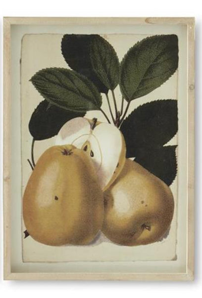 Wood Framed Pear Print