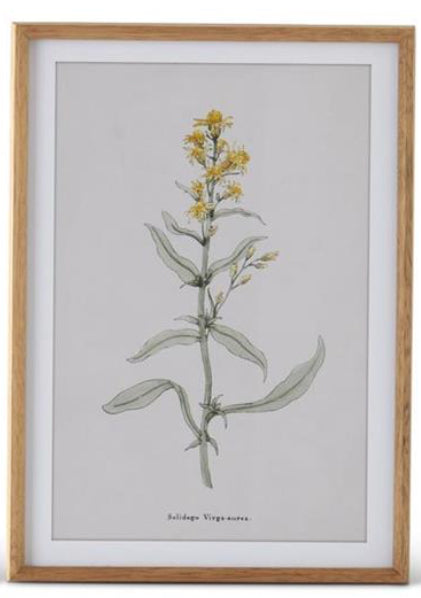 Botanical Print with Wood Frame