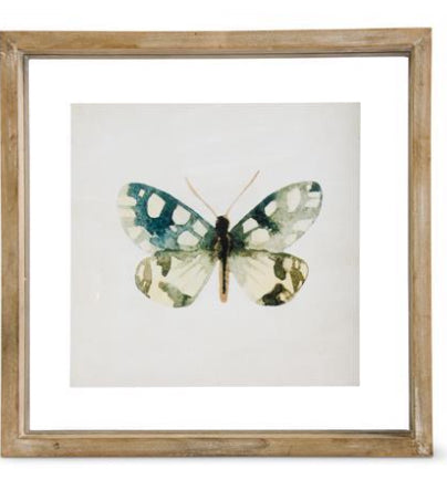 Shadowbox Framed Butterfly Print