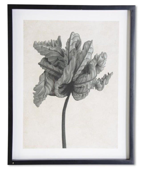Framed Gray & White Botanical Print