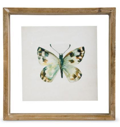 Shadowbox Framed Butterfly Print