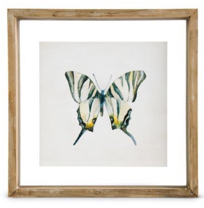 Shadowbox Framed Butterfly Print