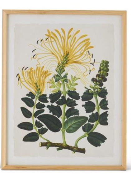 Floral Print With Wood Frame