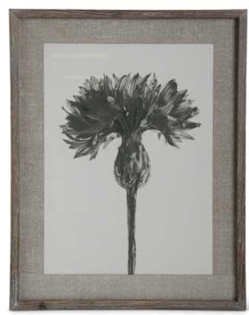 Black, Gray & White Floral Framed Print