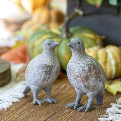 Quail Chicks, 2 Assorted Styles-sold separatly