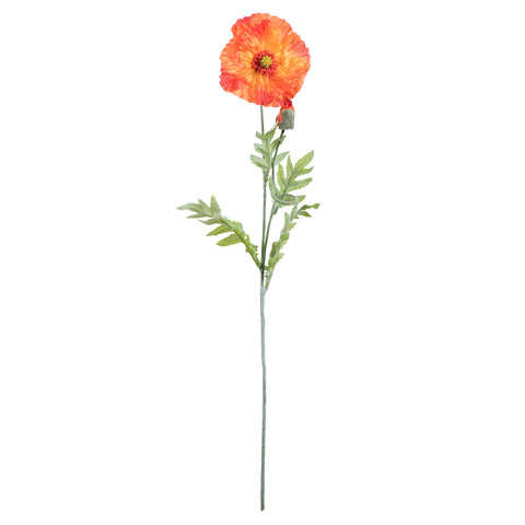 Orange Poppy Spray