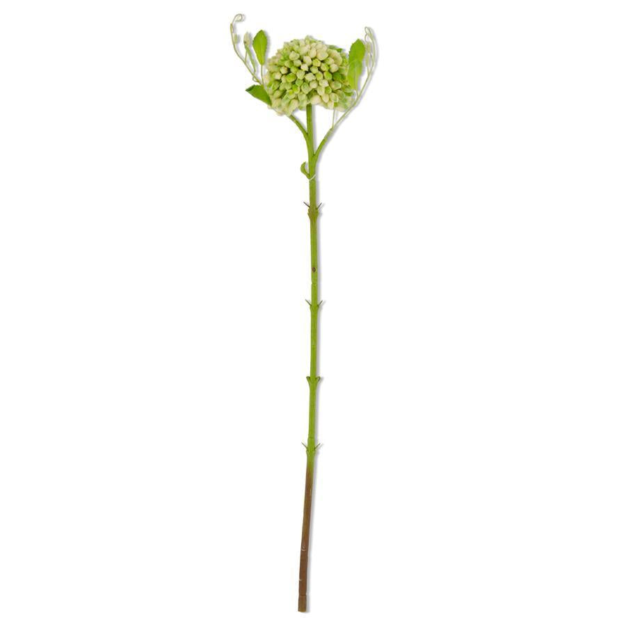 Green Real Touch Sedum Stem