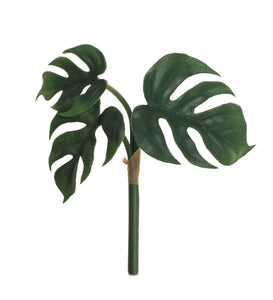 8" Split Leaf Philodendron Bush
