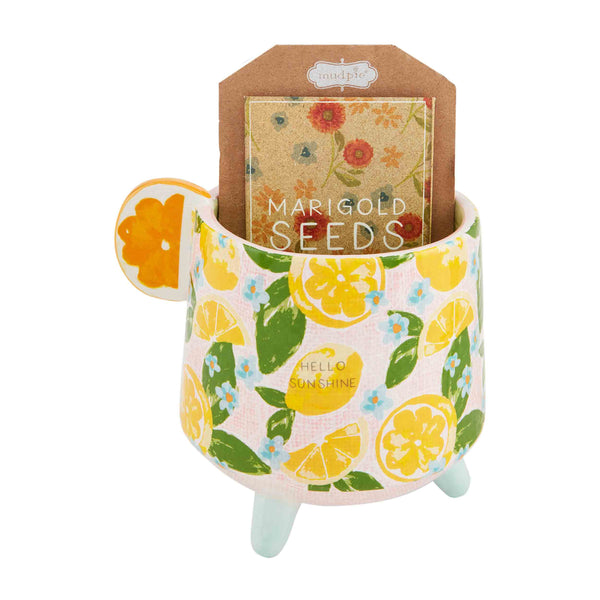 Fruity Floral Pot & Seed Set