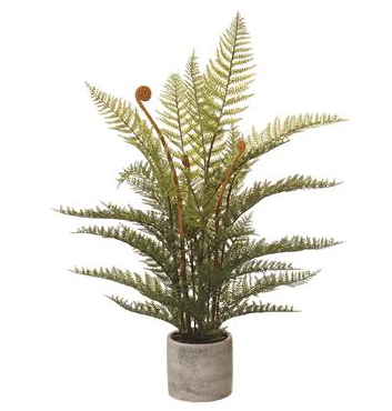 29" Fern Plant in Cement Pot