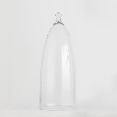 LARGE CLEAR GLASS CLOCHE