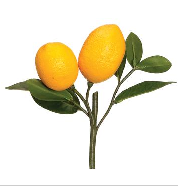 15" Lemon Pick