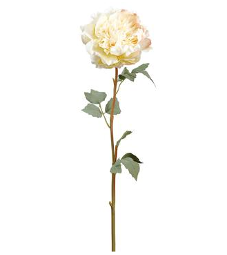 30.7" Peony Spray -Cream