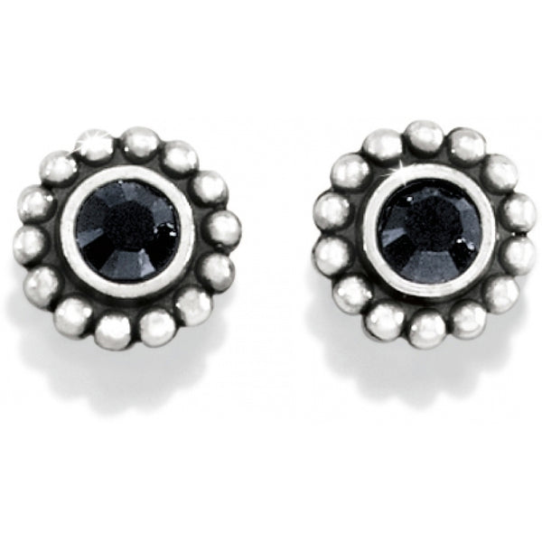 Twinkle Mini Post Earrings - Black