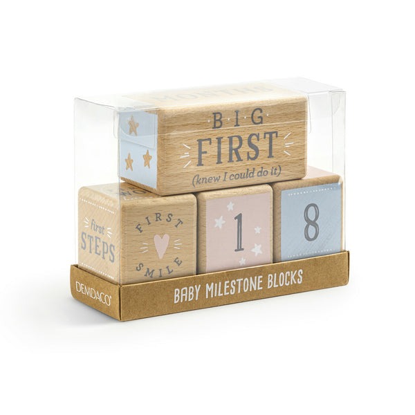 Baby Milestone Blocks