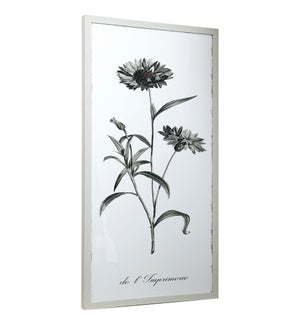 Framed Print Under Glass-Gerbera Daisy